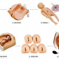 高級腹部觸診、分娩機(jī)轉(zhuǎn)綜合模型